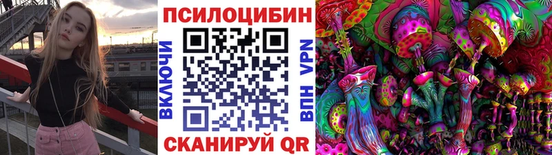 Псилоцибиновые грибы Cubensis  Кяхта 